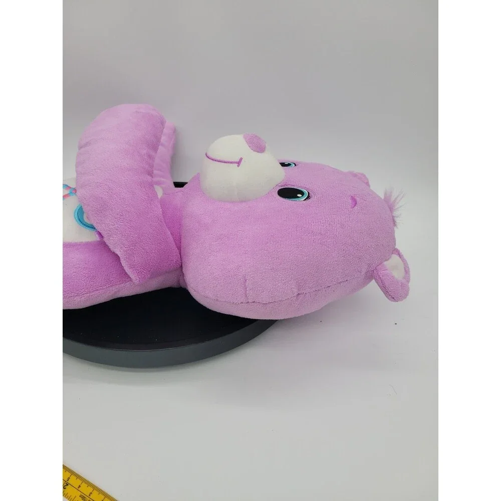 2012 American Greetings Care Bears Share Bear  Hasbro Purple  Lollipop 18